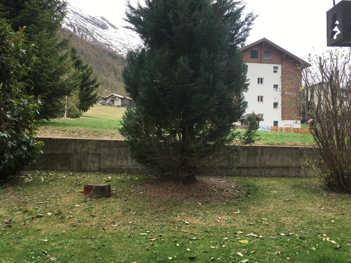 Apartment Modern With Free Parking